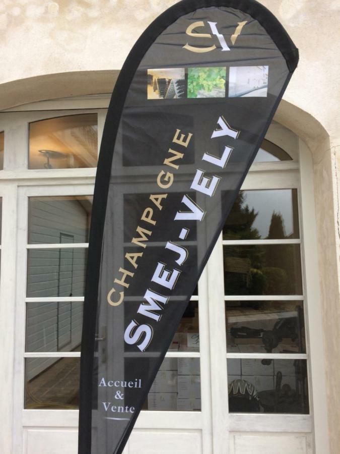 Chambres D'Hotes Karine Smej Chatillon-sur-Marne Luaran gambar