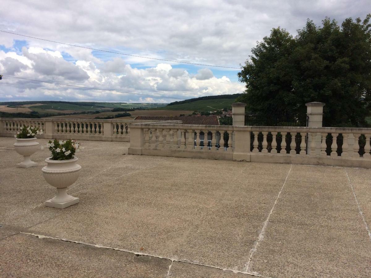 Chambres D'Hotes Karine Smej Chatillon-sur-Marne Luaran gambar