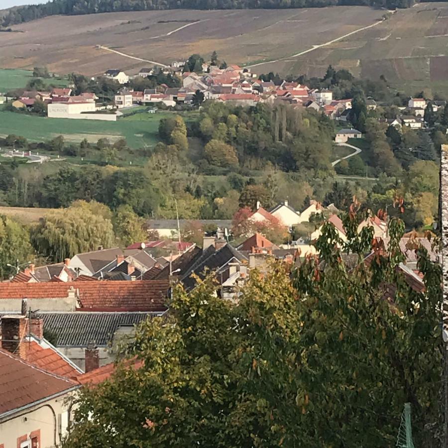 Chambres D'Hotes Karine Smej Chatillon-sur-Marne Luaran gambar